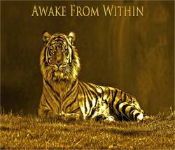 Awake From Within : Awake from Within